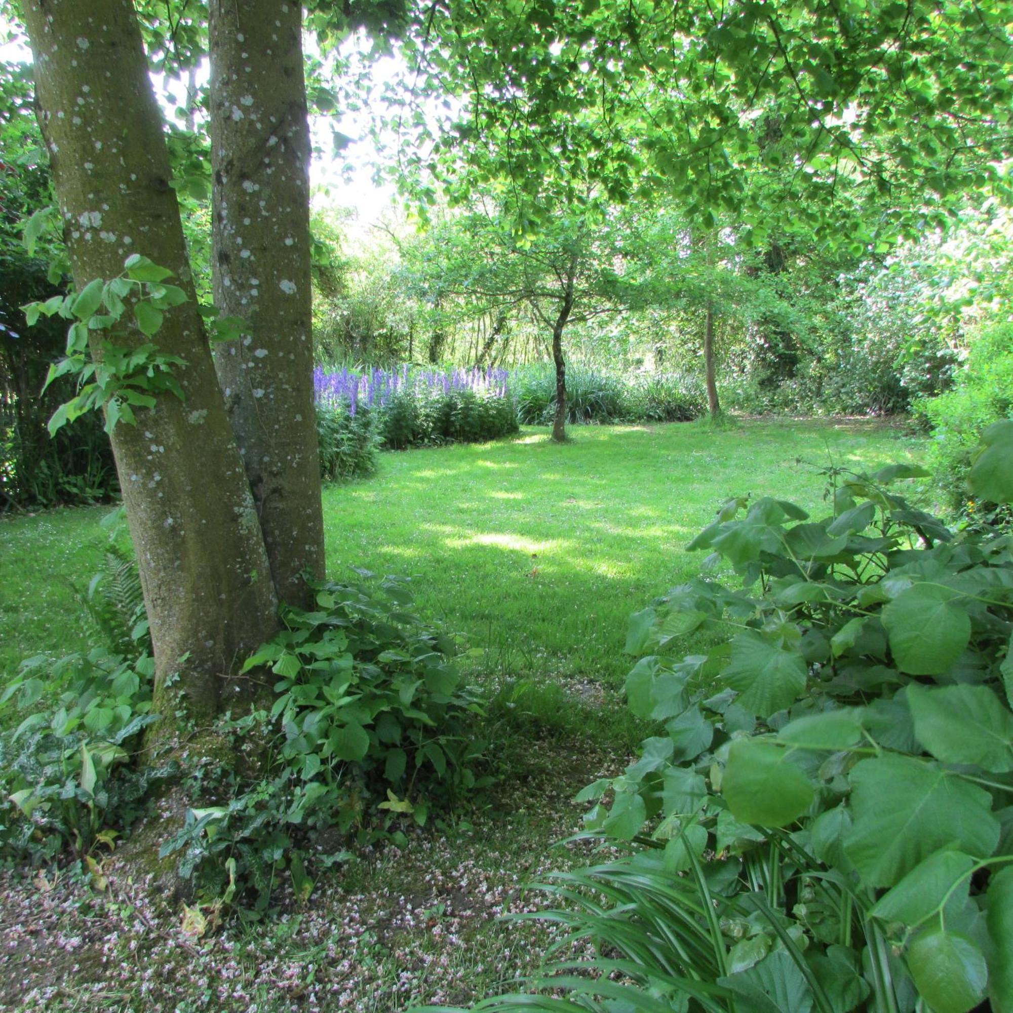 Gite Manoir Les Camps Greslins Questrecques Exterior foto